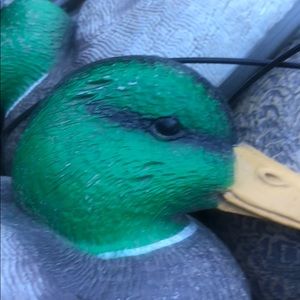 Meet your Posher, Mitchell